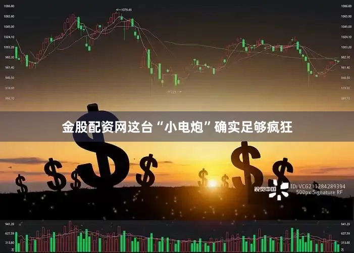 金股配资网这台“小电炮”确实足够疯狂