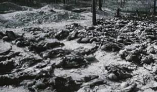 战卡廷事件之谜 2.6万波兰军人在森林被集体屠杀(真相)